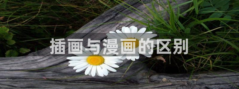 新新漫画网：插画与漫画的区别